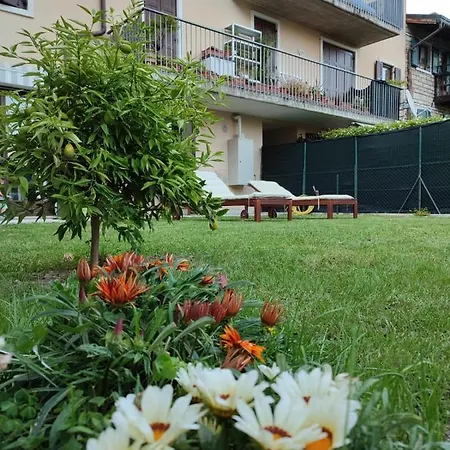 Apartment Brookesia Riva del Garda